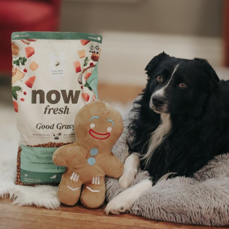 【狗主食】now 鲑鱼 小型成犬 高汤天然粮 干湿两吃 狗饲料 狗粮 - 狗罐头/鲜食 - 新鲜食材 