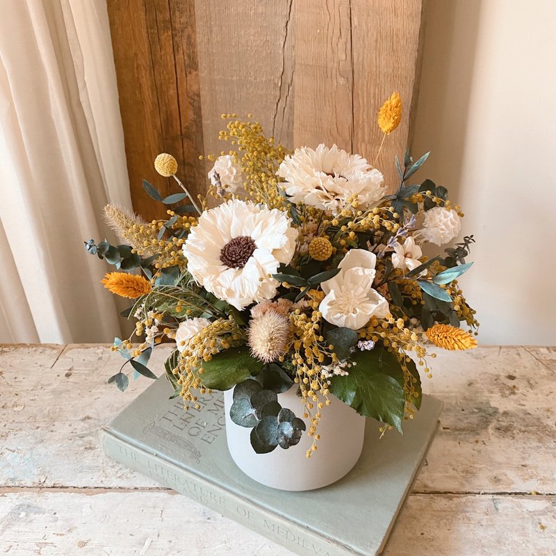 季节限定 日本金合欢 干燥盆花 - 干燥花/捧花 - 植物．花 黄色