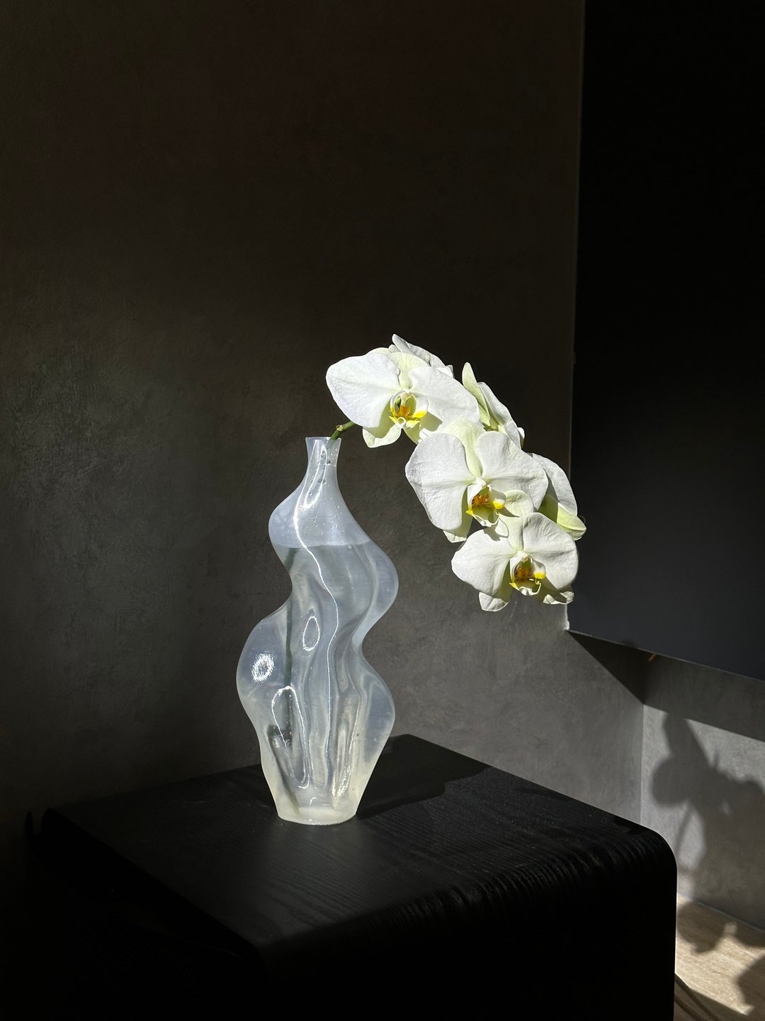 3D打印PLA艺术花瓶 - 花瓶/陶器 - 其他材质 
