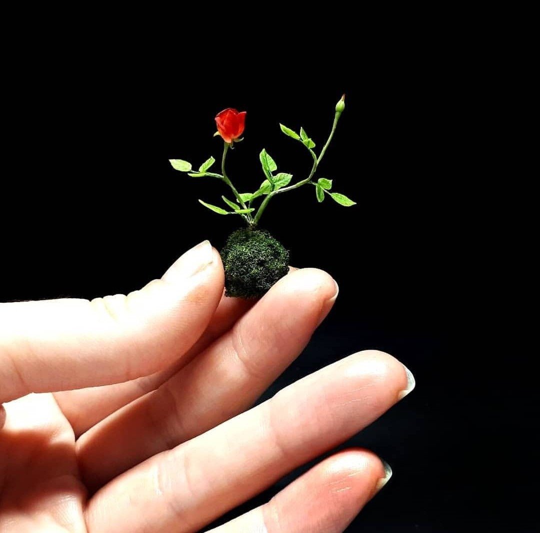 Miniature kokedama with a rose 1:12, Miniature plant, ikebana rose in a ball - 植栽/盆栽 - 粘土 红色
