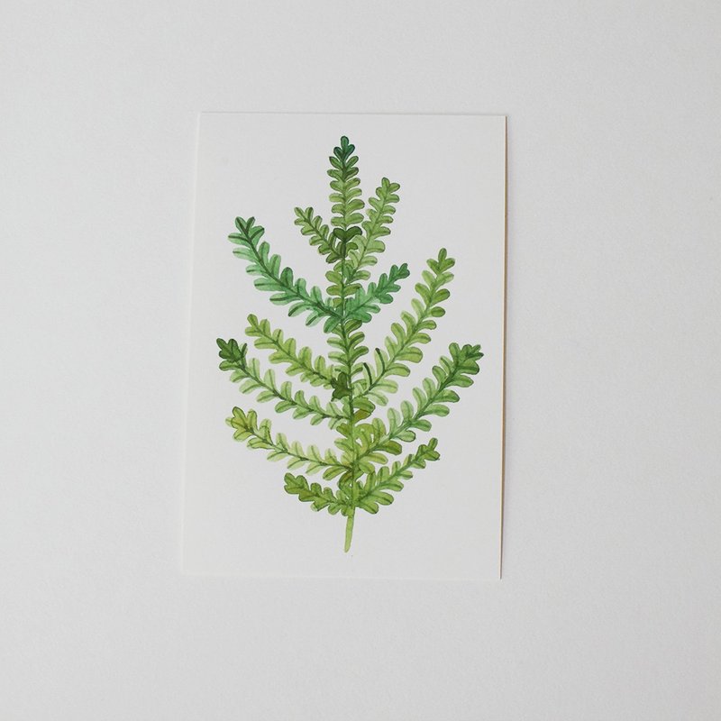 水彩原画生机手绘礼物万用卡贺卡明信片装饰画卡片原创小清新 - 卡片/明信片 - 纸 绿色
