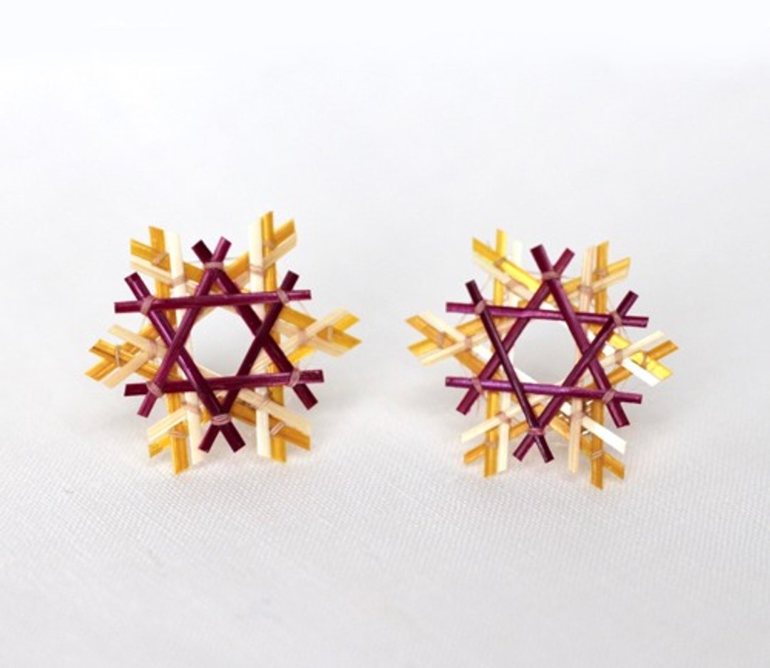Refreshing Straw Star Straw Earrings Red - 耳环/耳夹 - 植物．花 