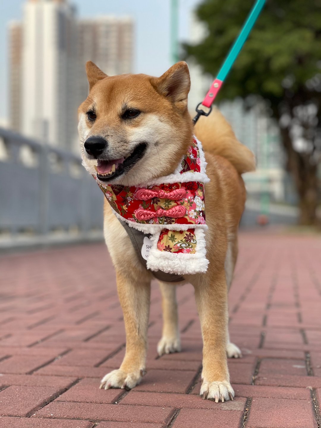 红当当   新年领巾 拜年领巾 农历新年领巾 围巾  DOG BANDANA - 项圈/牵绳 - 棉．麻 多色