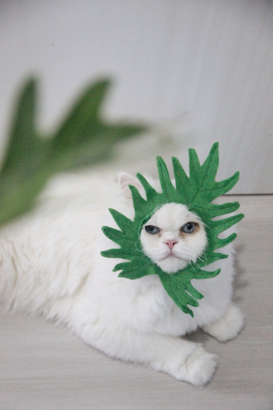 Philodendron Xanadu costume for cats and small dogs - 衣/帽 - 其他材质 