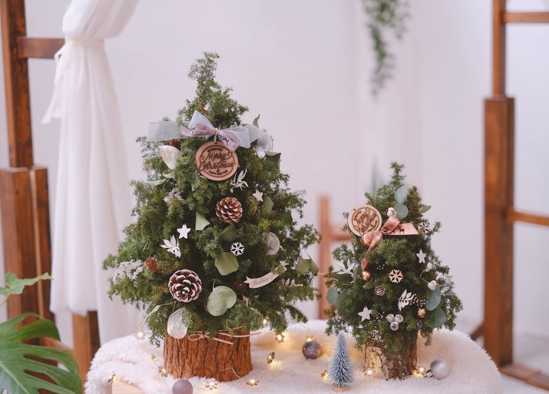 森林系质感圣诞树 - 植栽 - 植物．花 