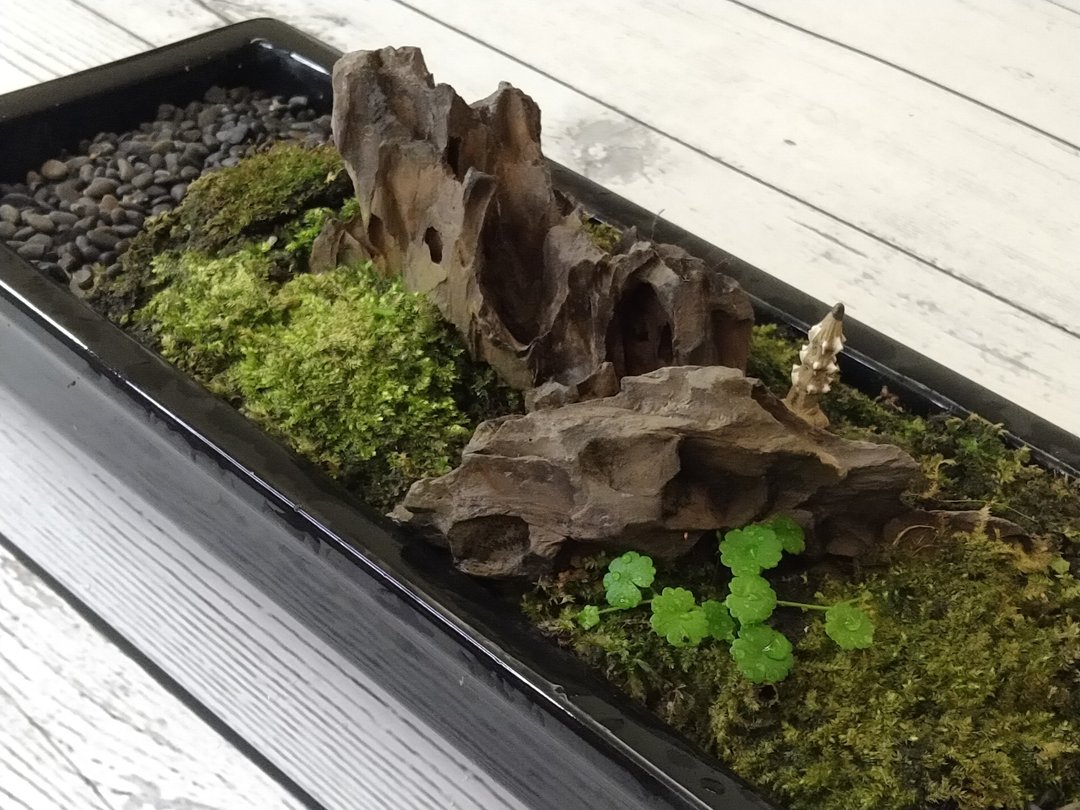 懒人植栽 野趣盆 / 古刹静修微景观 - 植栽/盆栽 - 陶 