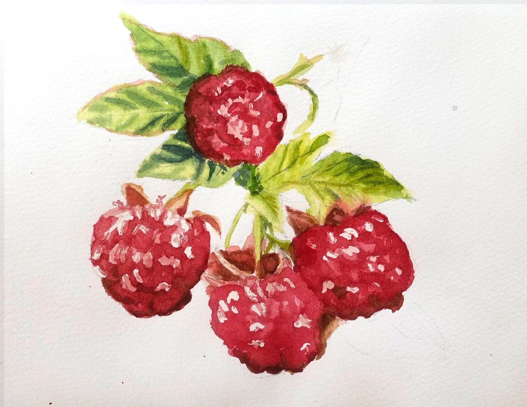 Raspberry Painting Fruit Watercolor Art Eat Artwork Kitchen Art - 海报/装饰画/版画 - 其他材质 红色