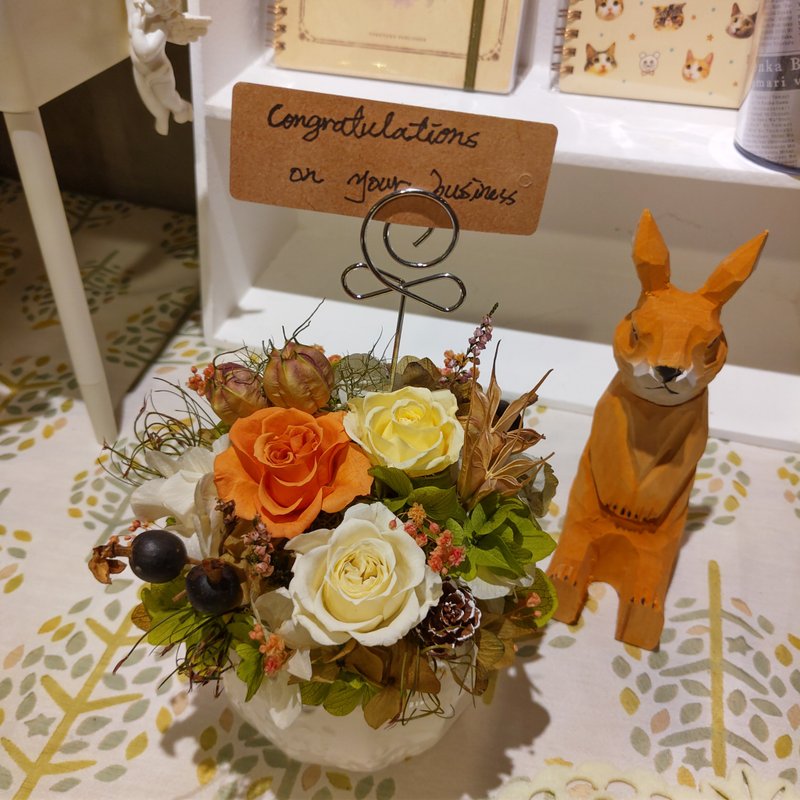 漫森态 盆花 不凋花 干燥花 开幕花礼 - 干燥花/捧花 - 植物．花 橘色