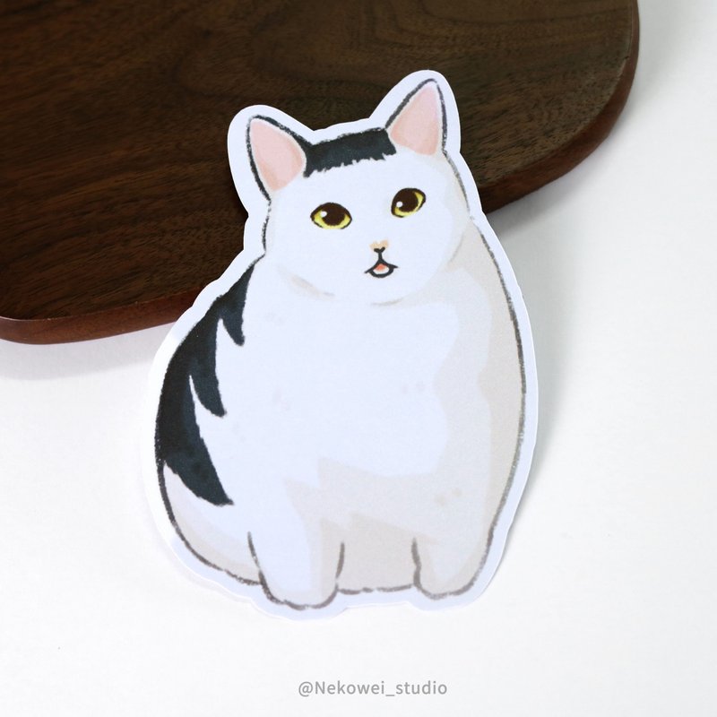 造型明信片 蛤? 迷因猫咪 HUH? 附信封袋 猫咪 猫猫 万用卡 书签 - 卡片/明信片 - 纸 白色