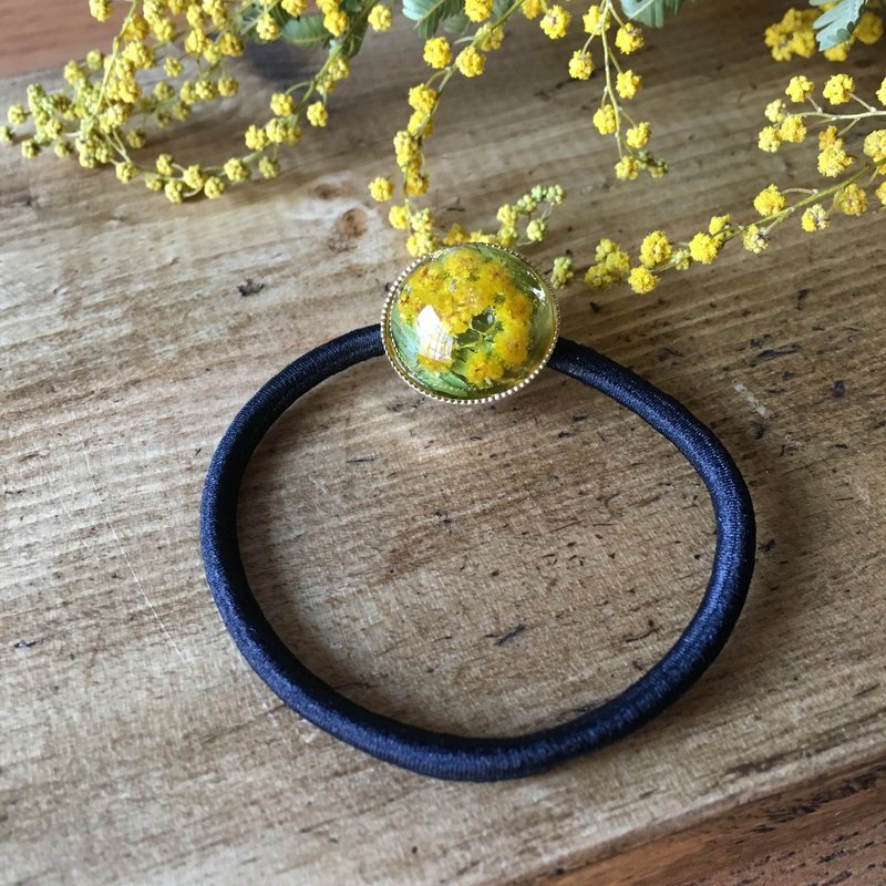 Flesh mimosa hair accessory - 发饰 - 其他材质 黄色