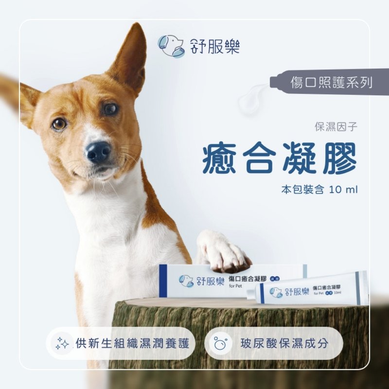 舒服乐 愈合凝胶 /红肿搔痒/伤口护理/伤口调养/皮肤养护 - 其他 - 其他材质 透明