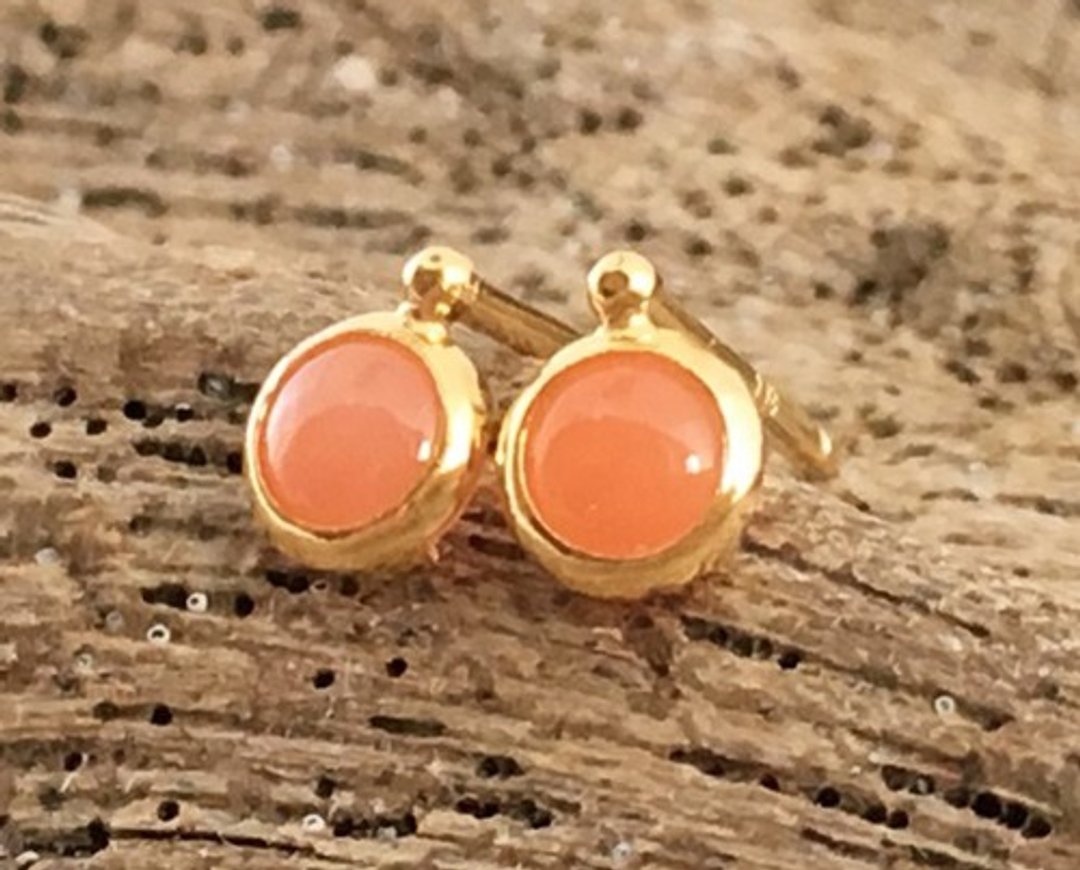 Natural coral ◇ K18 ◇ Stud earrings - 耳环/耳夹 - 其他金属 