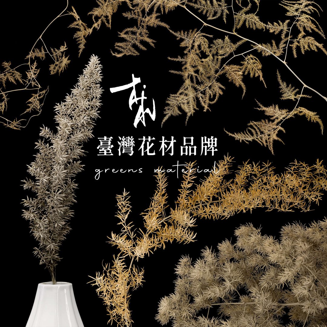 狐尾武竹 延色草系列 R05烟熏玫瑰 植色木木 干燥 永生 人造 - 干燥花/捧花 - 植物．花 粉红色