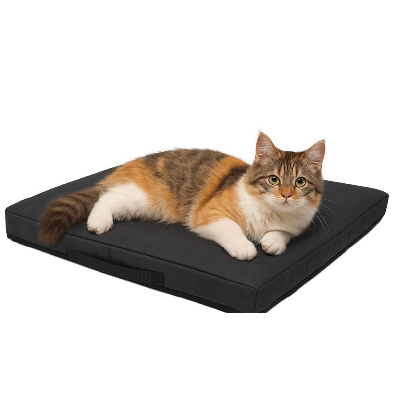 AC Rabbit 低均压猫抓布万用神气垫 年老宠物适用 医疗级 耐刮 - 其他 - 聚酯纤维 灰色