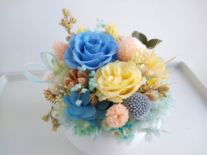 漫森态 盆花/不凋花/干燥花 - 干燥花/捧花 - 植物．花 蓝色