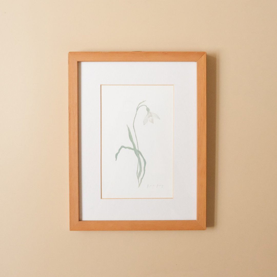 植物插画-雪滴花 / 挂画 / 实木表框 - 海报/装饰画/版画 - 纸 