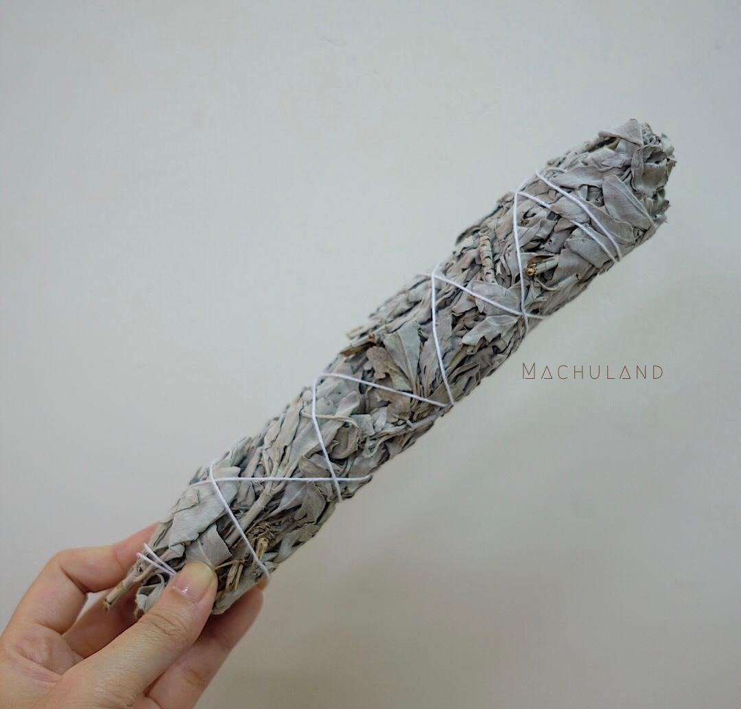 驱除负能量 疗愈 治疗 白鼠尾草 - 其他 - 植物．花 