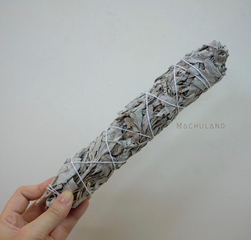 驱除负能量 疗愈 治疗 白鼠尾草 - 其他 - 植物．花 