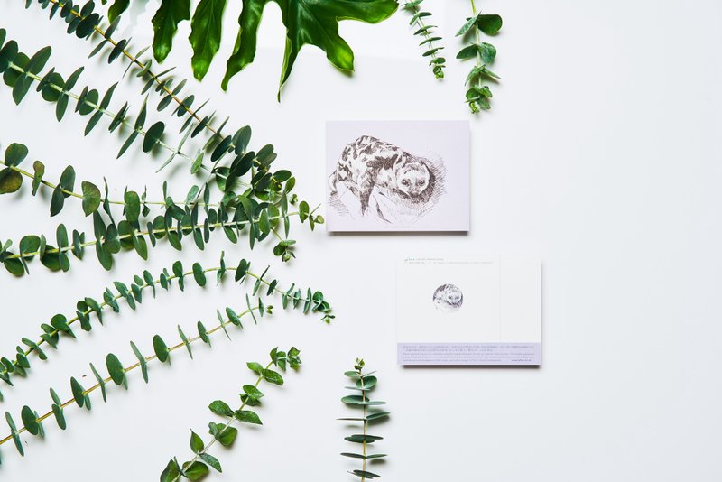 斑卷尾袋貂, 濒危物种:明信片小卡/ 一卡一捐 - 卡片/明信片 - 纸 紫色