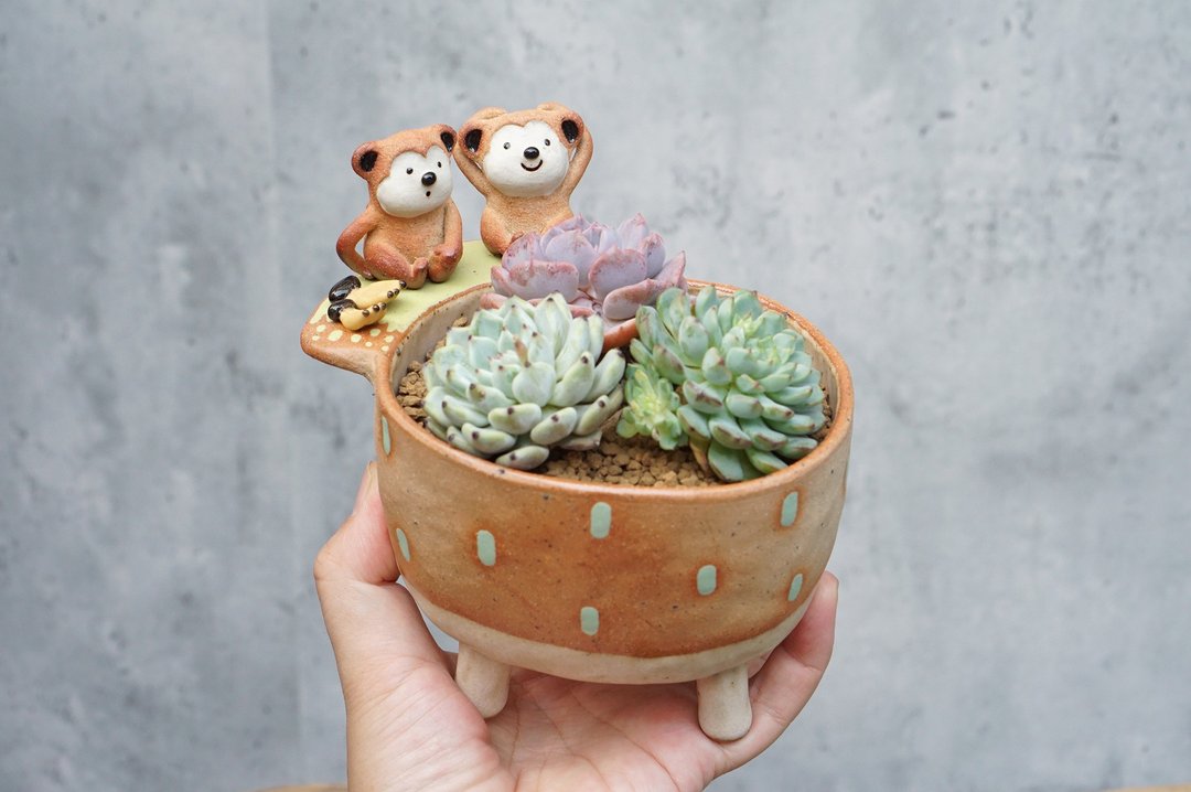 Plant pot with a monkey ,lithops,cactus,ceramics,pottery,handmade - 花瓶/陶器 - 陶 咖啡色