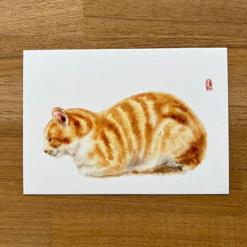 小橘入定 猫咪明信片 - 卡片/明信片 - 纸 多色