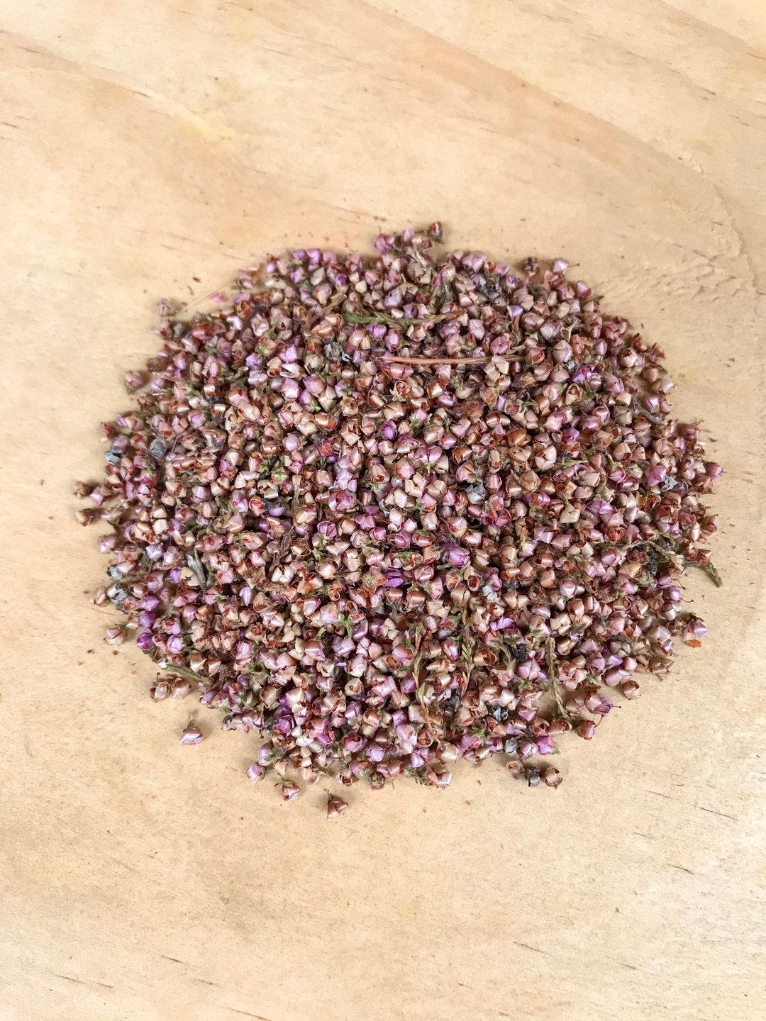 欧石楠 帚石楠 石楠 Heath Heather Erica - 茶 - 植物．花 