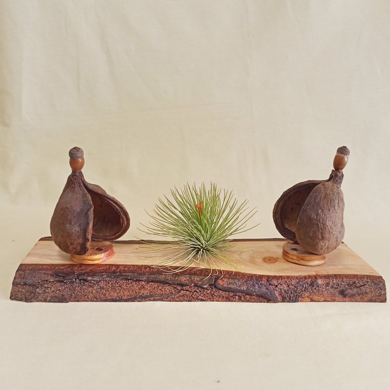 【原木座台】-桃花心木(尺寸32.5x12x2CM) - 摆饰 - 木头 卡其色
