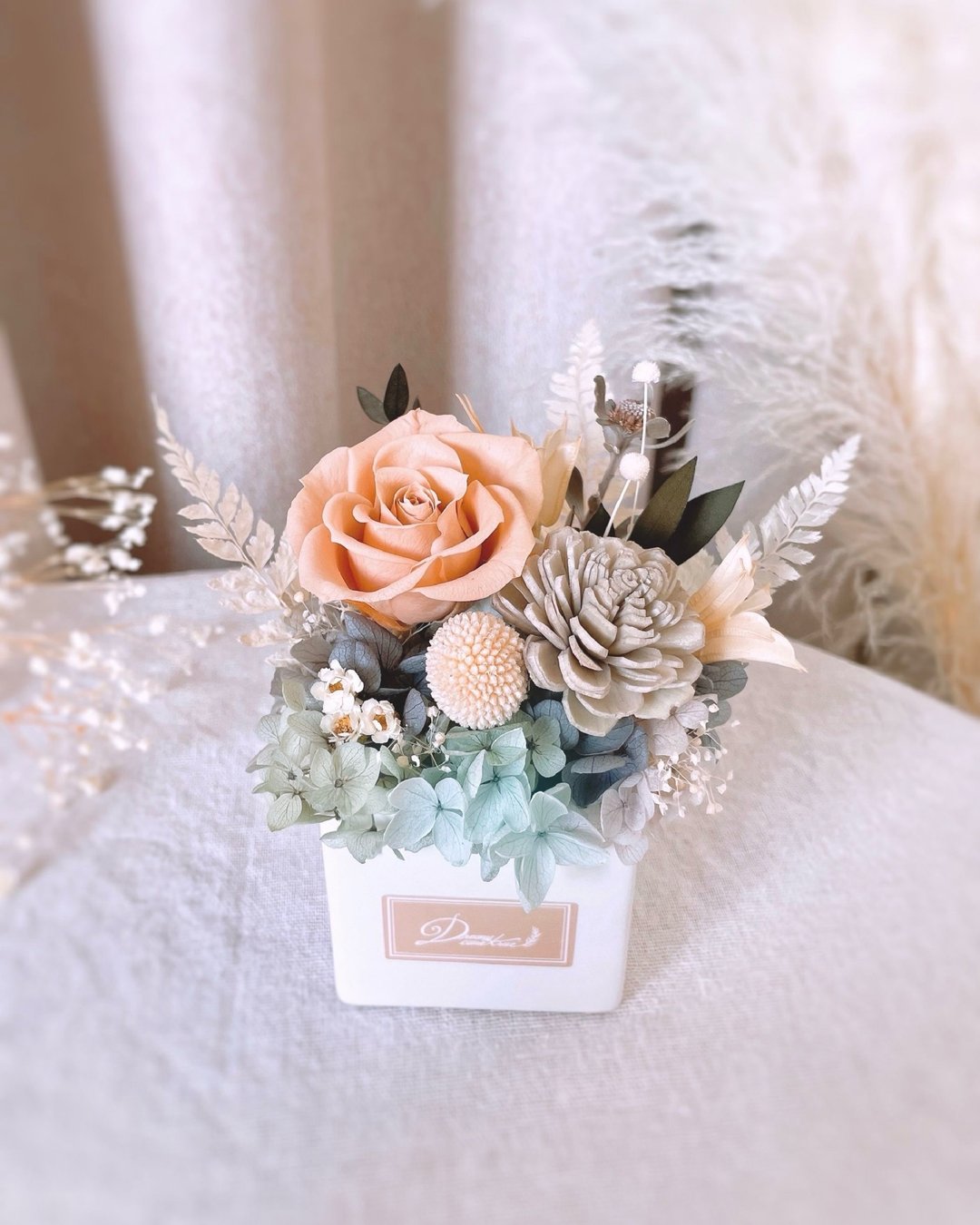 永生花盆花-莫兰迪色调 l 日本玫瑰 干燥盆花 干燥花 开幕 乔迁 - 干燥花/捧花 - 植物．花 灰色
