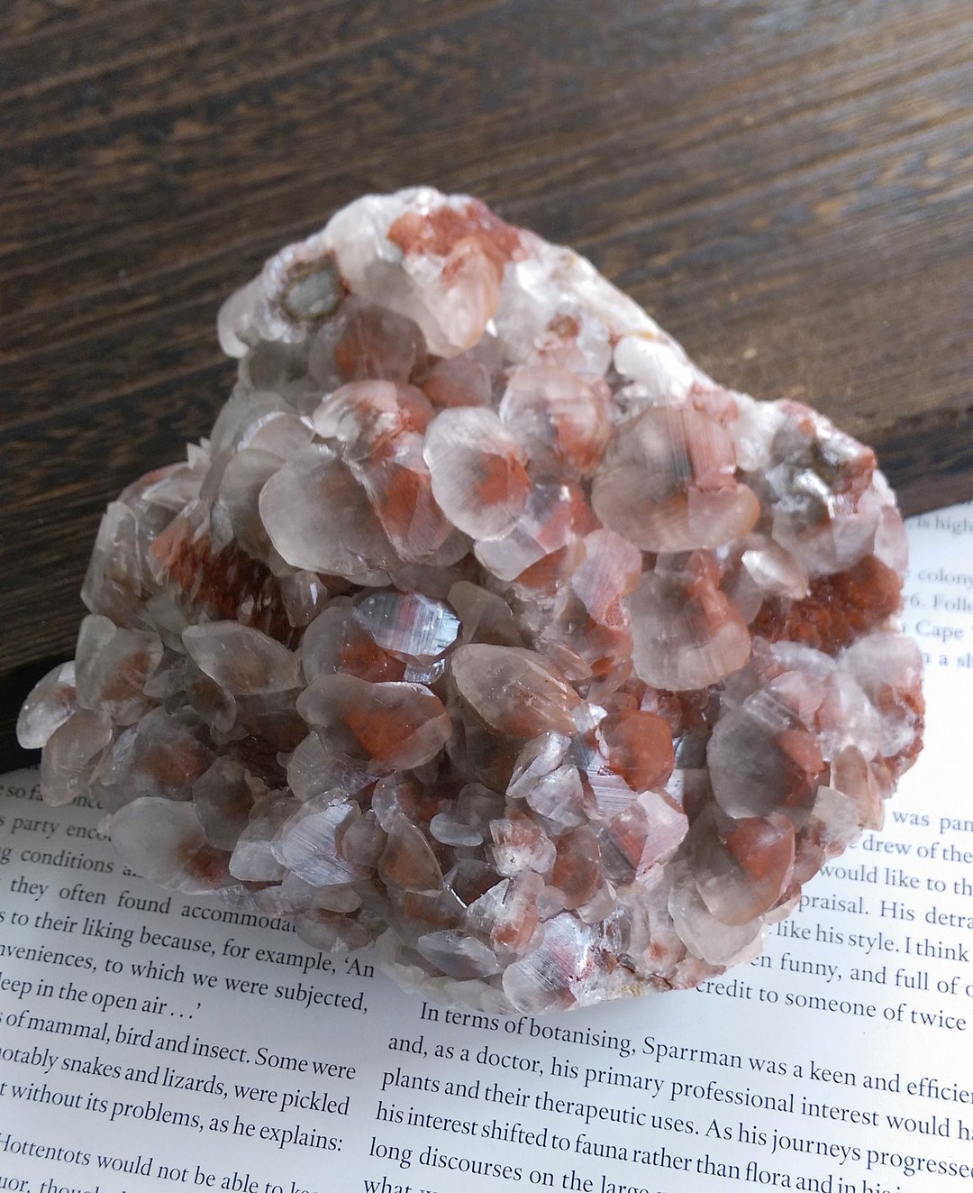 Calcite 湖北产地 红方解石 奔驰方解石 二次结晶 天然矿石 原矿 - 摆饰 - 其他材质 