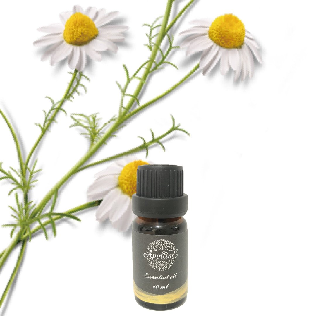 德国蓝甘菊精油 BLUE CHAMOMILE - 香薰/精油/线香 - 精油 