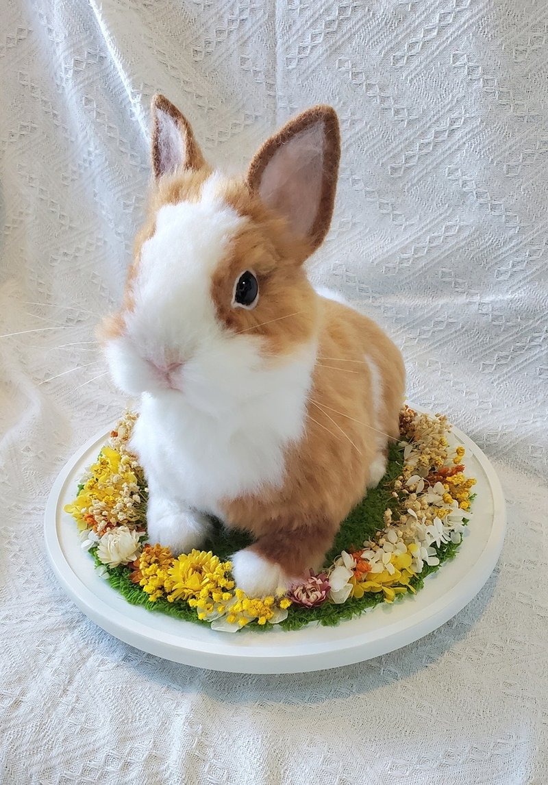 【客制羊毛毡】拟真兔 (30cm) - 订制抱枕/饰品 - 羊毛 白色
