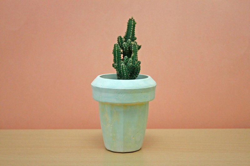 〖 秋鱼手作 〗 水泥植栽×多肉植物 ＿ Ｔ盆 ░ 粉绿 橘 白 ░ - 植栽/盆栽 - 水泥 绿色