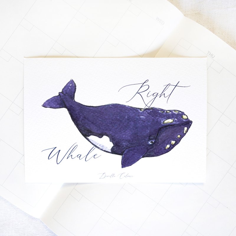 【鲸归何处 - Right Whale 露脊鲸】水彩插画 明信片 鲸鱼 鲸落 - 卡片/明信片 - 纸 蓝色