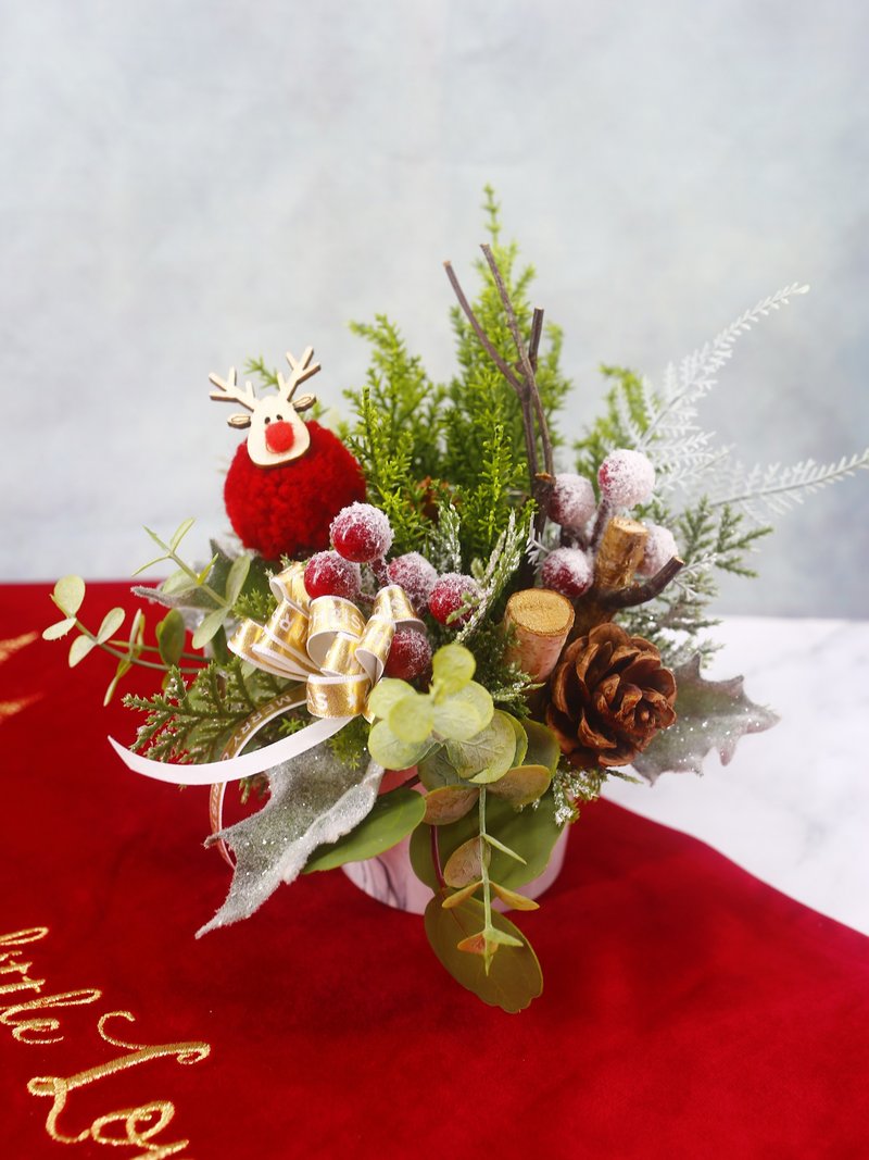 喜乐圣诞红色喜洋洋香氛花礼 /居家/布置/香氛/礼物/圣诞节/花礼 - 植栽/盆栽 - 其他材质 绿色