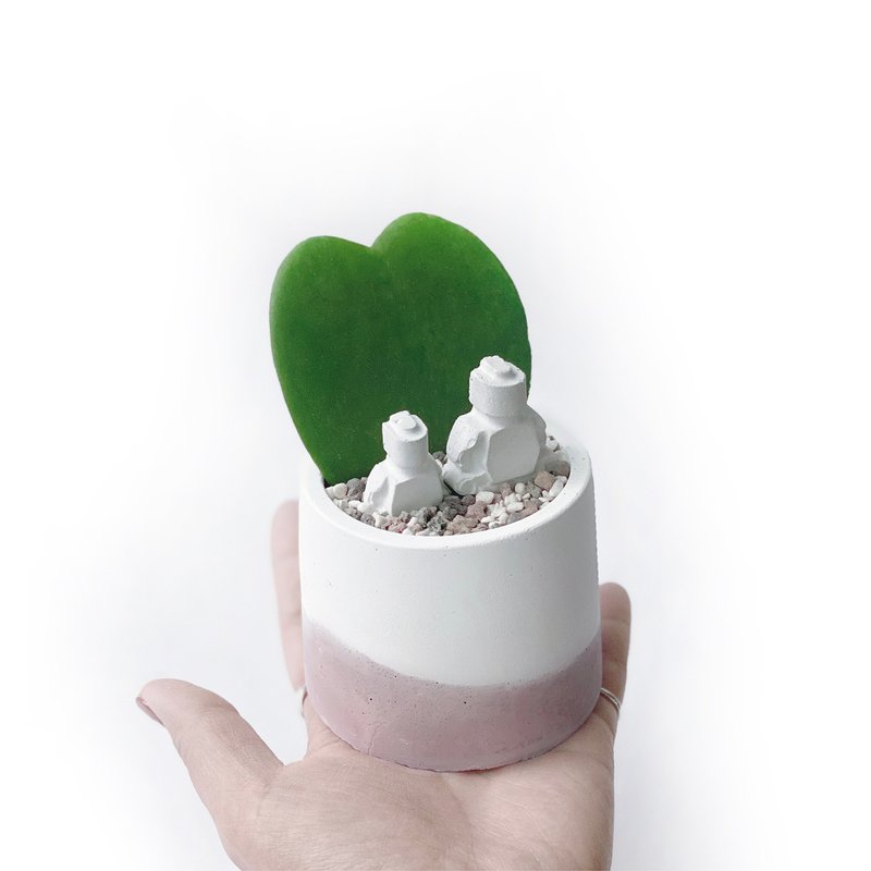 (预购) 莫兰迪粉系列 | me & you 心叶球兰  圆形水泥植栽 - 植栽/盆栽 - 植物．花 粉红色