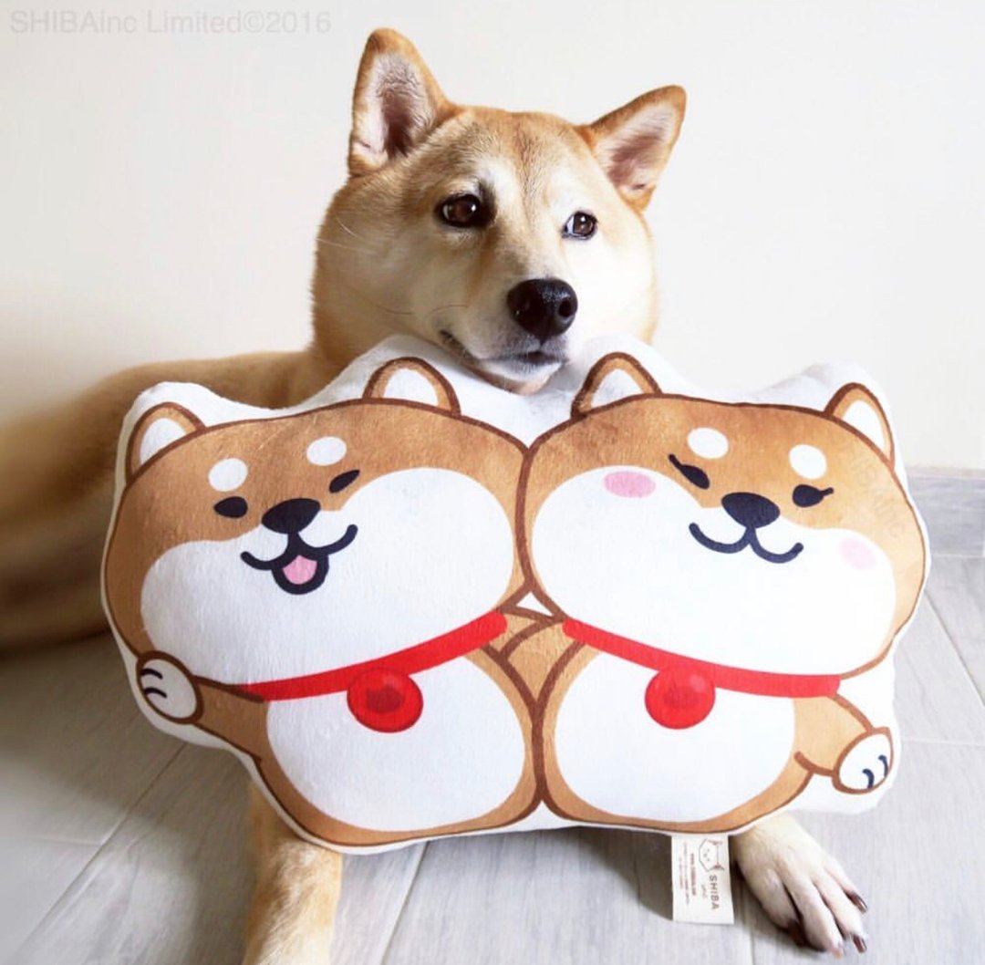 SHIBAINC|柴犬工房 柴犬 抱枕 枕头 枕 毛绒玩具 - 枕头/抱枕 - 其他材质 