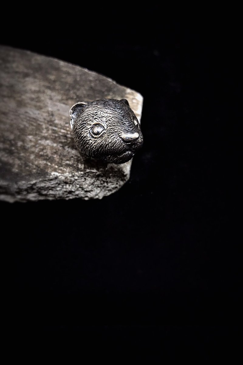 生物学/Mustela putorius furo雪貂 925纯银戒指 - 戒指 - 纯银 黑色