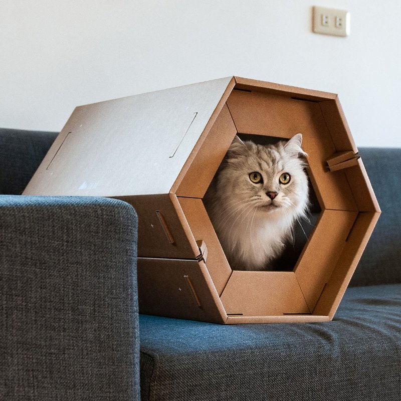 CARTON好厝 六角瓦楞纸猫屋 (含专用猫抓板) - 玩具 - 纸 卡其色