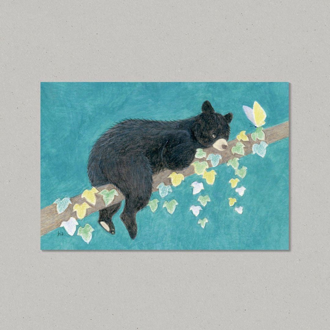 Animal Postcard /  Little Bear - 卡片/明信片 - 纸 绿色
