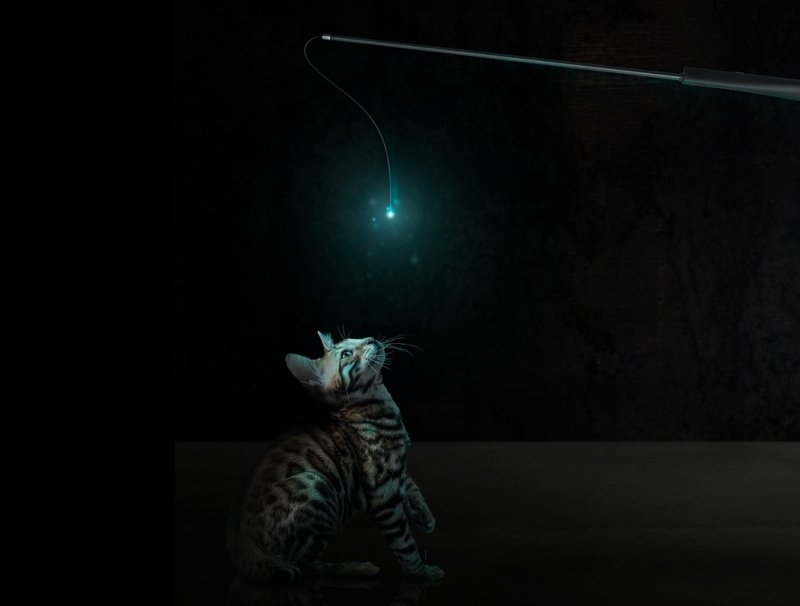 流星光纤逗猫棒 猫玩具 与猫玩乐时光棒 - 玩具 - 硅胶 