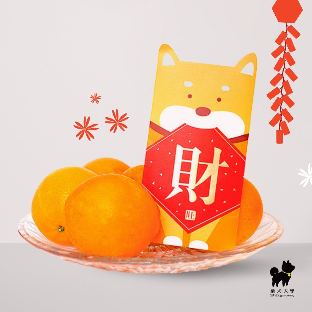 柴犬大学 柴犬红包袋(一包6入) 萌柴红包袋 柴犬周边 创意红包袋 - 红包/春联 - 纸 红色