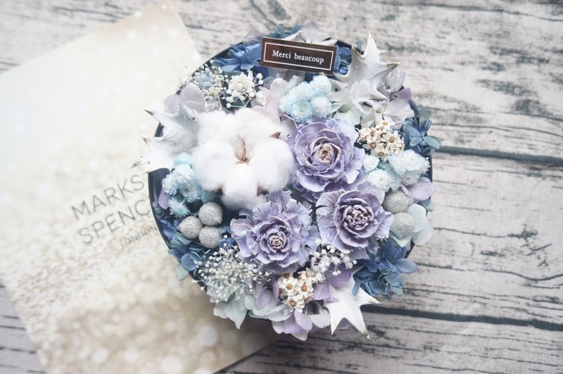 岛屿天堂蓝 恒星花盒 - 植栽/盆栽 - 植物．花 蓝色