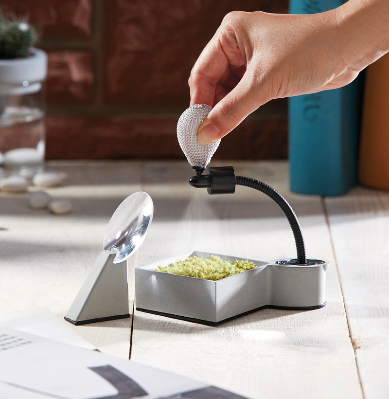 打气复活草 水泥设计 - 植栽/盆栽 - 水泥 灰色