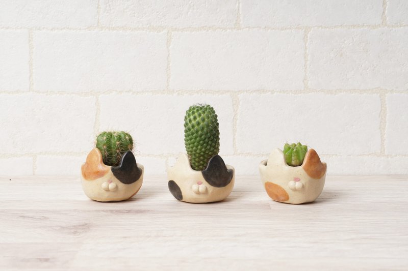 【礼物】1寸盆栽-猫咪豆盆 - 植栽/盆栽 - 陶 多色