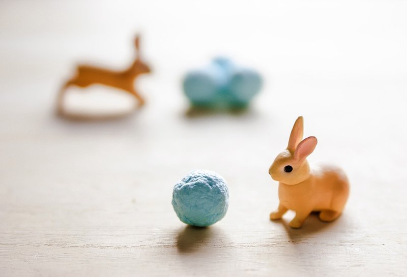 奥勒冈种子球 (5颗装/不含花器培养土) - 植栽/盆栽 - 植物．花 蓝色