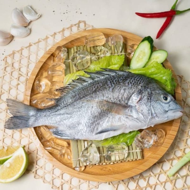 生态养殖黑鲷 肉质清香鲜味浓郁无腥味 - 其他 - 新鲜食材 