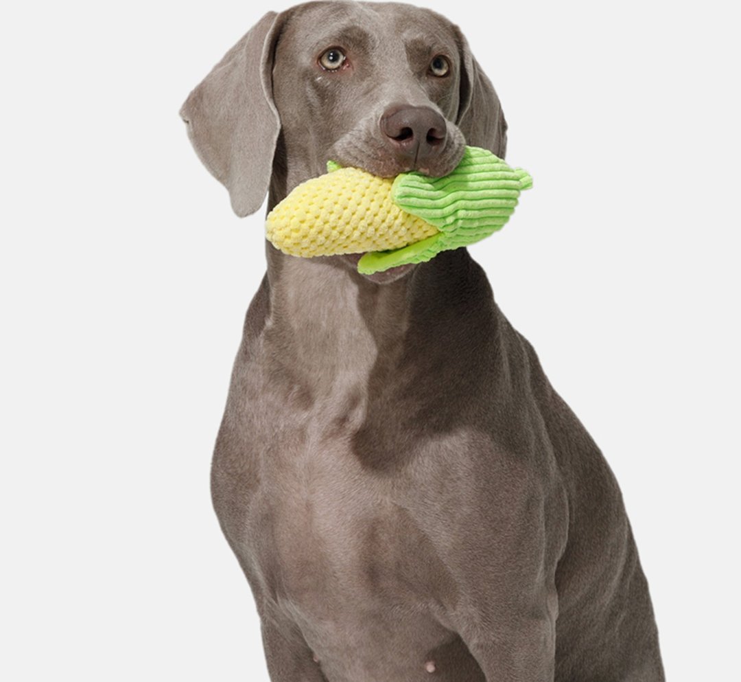 【仿真玉米】小型犬/耐咬磨牙发声毛绒玩具 - 玩具 - 其他材质 绿色