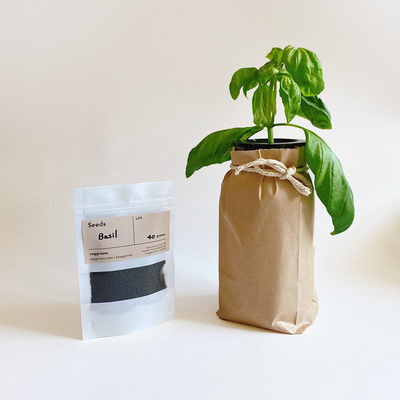 甜罗勒种子 40g - 植栽/盆栽 - 其他材质 卡其色