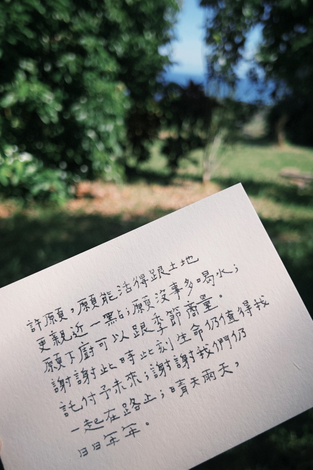 晴天雨天 日日年年 青青的岛文字明信片 生日明信片 - 卡片/明信片 - 纸 