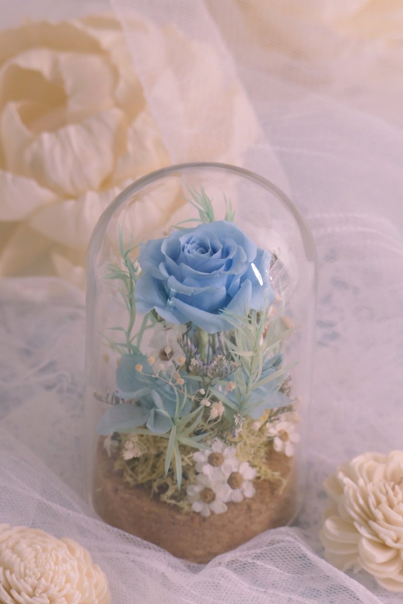 Rosemary小小花园玻璃罩-花园精灵 永生花/情人节/生日/毕业 - 干燥花/捧花 - 植物．花 